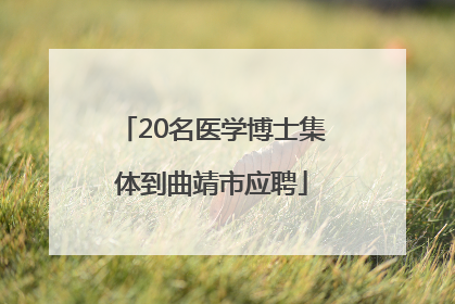 20名医学博士集体到曲靖市应聘