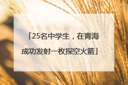 25名中学生，在青海成功发射一枚探空火箭