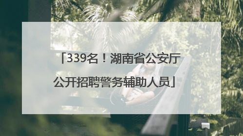 339名！湖南省公安厅公开招聘警务辅助人员