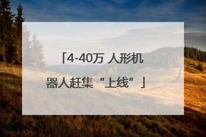 4-40万 人形机器人赶集“上线”