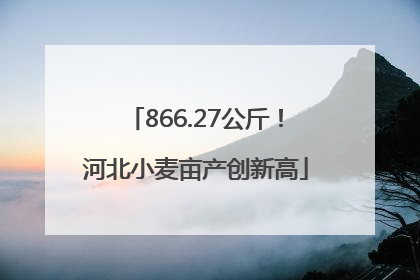 866.27公斤！河北小麦亩产创新高