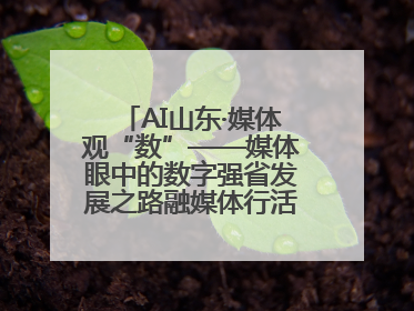 AI山东·媒体观“数”——媒体眼中的数字强省发展之路融媒体行活动启动