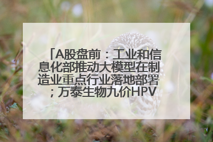 A股盘前：工业和信息化部推动大模型在制造业重点行业落地部署；万泰生物九价HPV疫苗获批上市；特朗普催促鲍威尔降息