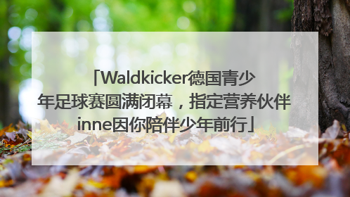 Waldkicker德国青少年足球赛圆满闭幕，指定营养伙伴inne因你陪伴少年前行